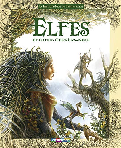 Elfes et autre guerriers-mages