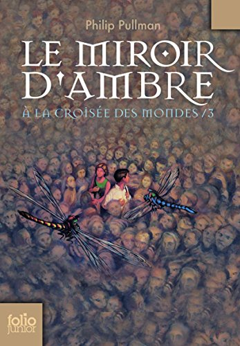 &Agrave; la crois&eacute;e des mondes, 3. Le miroir d'ambre