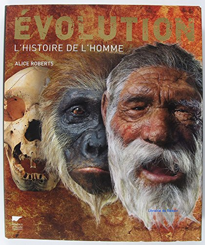 &Eacute;volution : les origines de l'homme