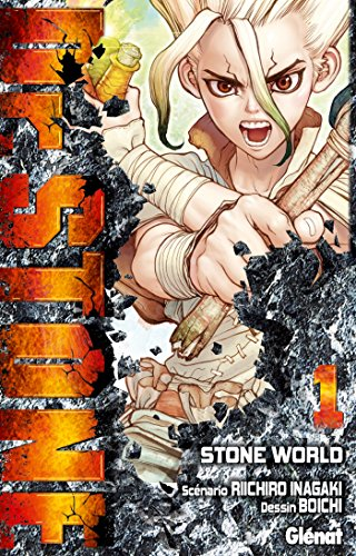 Dr. Stone, 1. Stone world