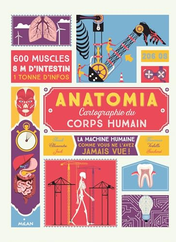Anatomia : cartographie du corps humain