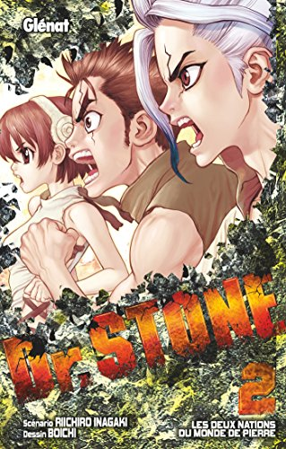 Dr. Stone, 2. Les deux nations du monde de pierre