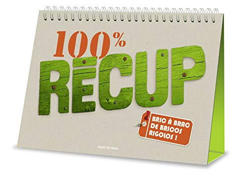 100 % r&eacute;cup : bric &agrave; brac de bricos rigolos !