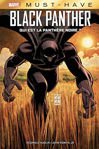 Black Panther : Qui est la Panth&egrave;re Noire ?