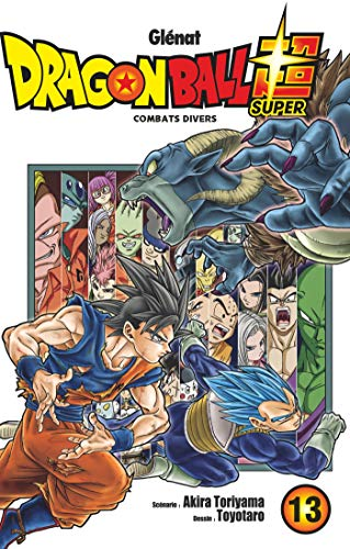 Dragon Ball Super, 13. Combats d'hivers